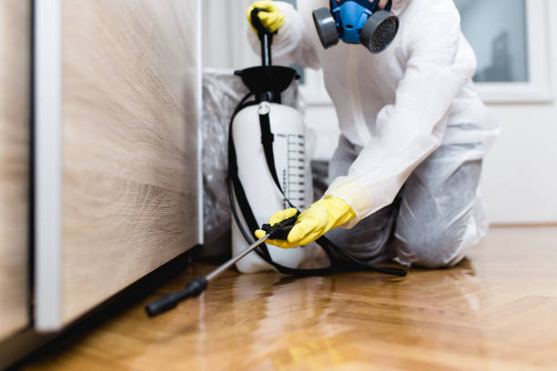 Best Local Pest Control Services  in Mcrae Helena, GA