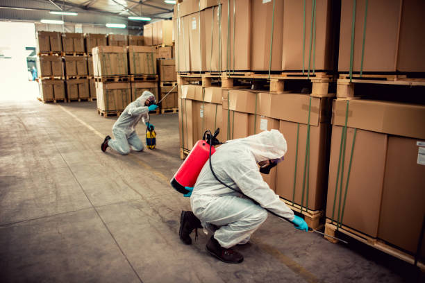 Best Exterminator Services  in Mcrae Helena, GA