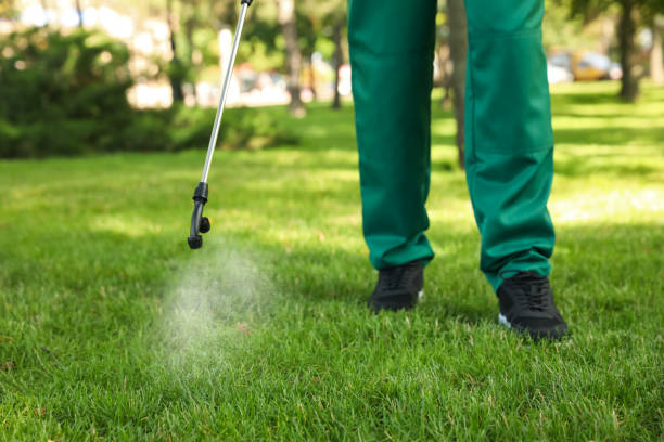 Best Rat Extermination Near Me  in Mcrae Helena, GA