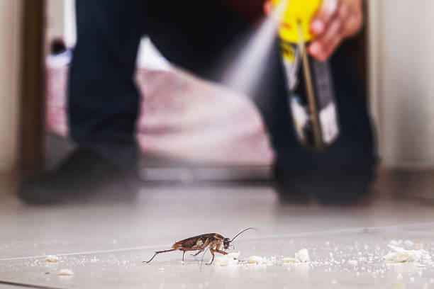 Best Pest Inspection Near Me  in Mcrae Helena, GA